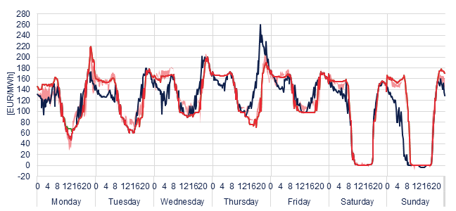 Weekly evolution of the hourly price of the Day-ahead and Intraday Market (DAM and IM)