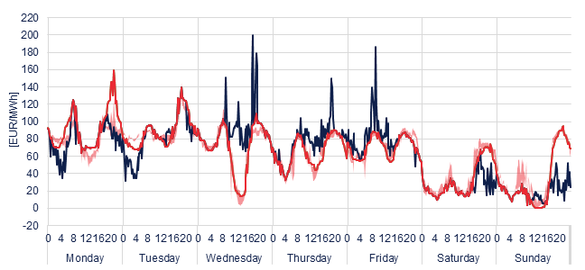 Weekly evolution of the hourly price of the Day-ahead and Intraday Market (DAM and IM)
