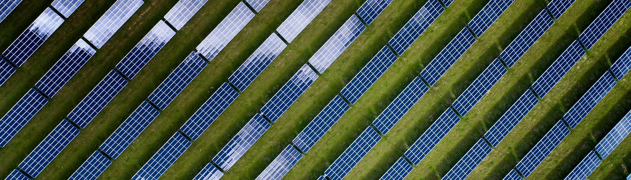 Solar panels viewed from above