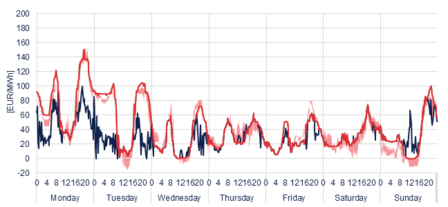 Weekly evolution of the hourly price of the Day-ahead and Intraday Market (DAM and IM)